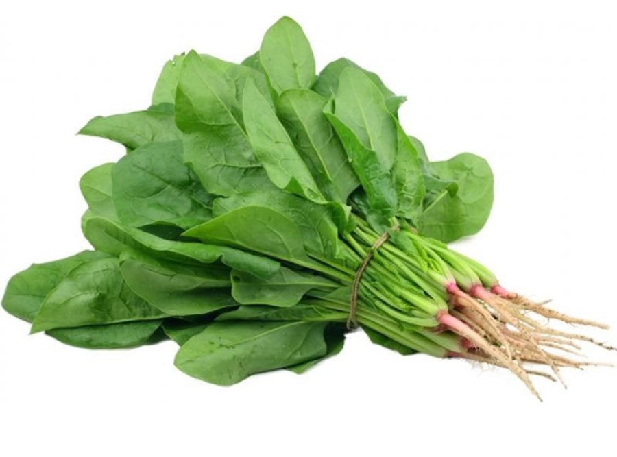 Rau cải bó xôi VietGap